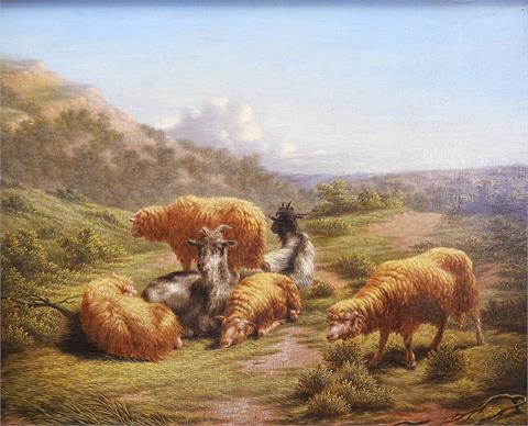 Schaf- und Ziegenherde in ländlicher Idylle