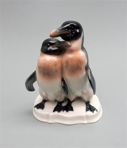 Rosenthal, Pinguinpaar