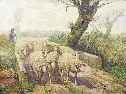 Schafsherde mit Hirte