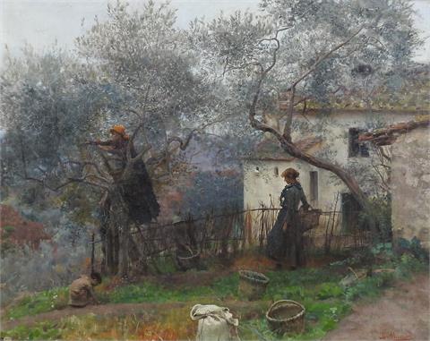 Giovanni Muzzioli, Olivenernte